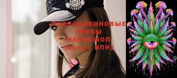 соль ск Алексеевка